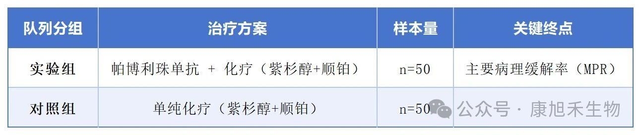 微信圖片_2025-07-09_171156_641