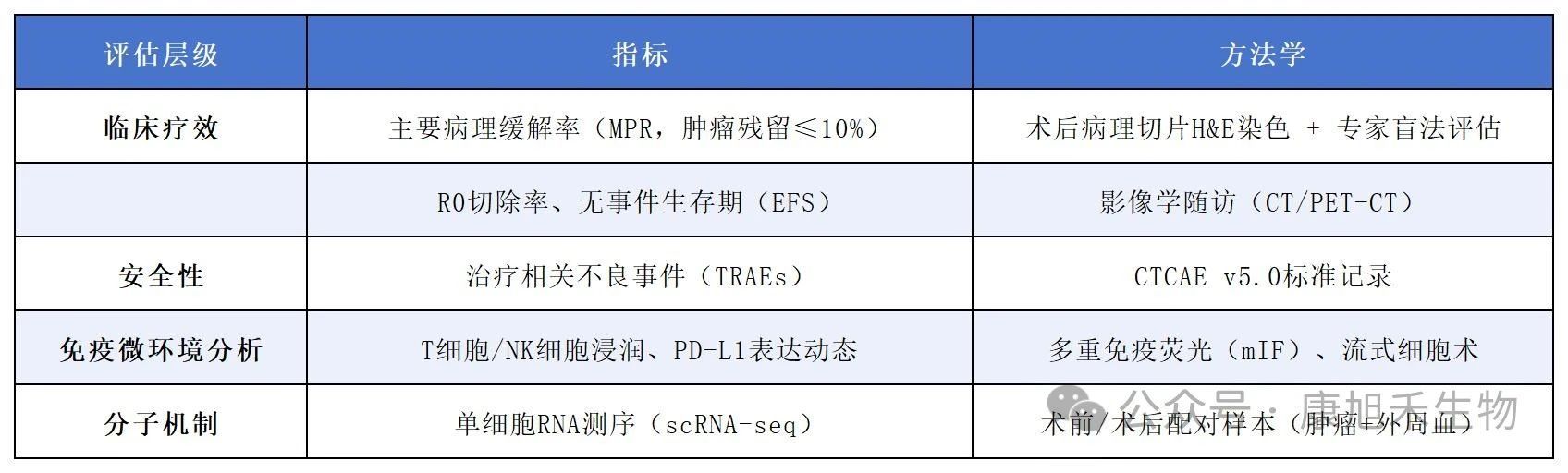 微信圖片_2025-07-09_171314_019