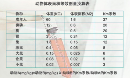 微信圖片_2025-07-24_163244_422