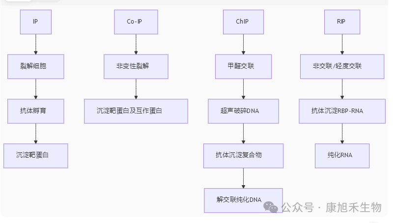 微信圖片_2025-09-09_145537_963