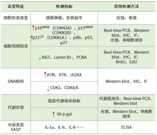 微信圖片_2025-09-24_170252_092
