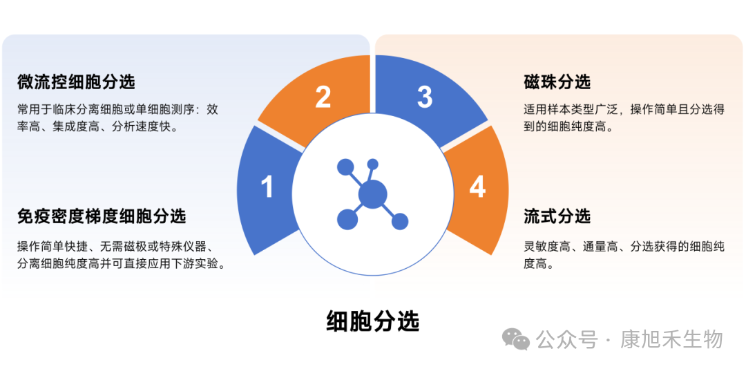 微信圖片_2025-09-25_171009_510