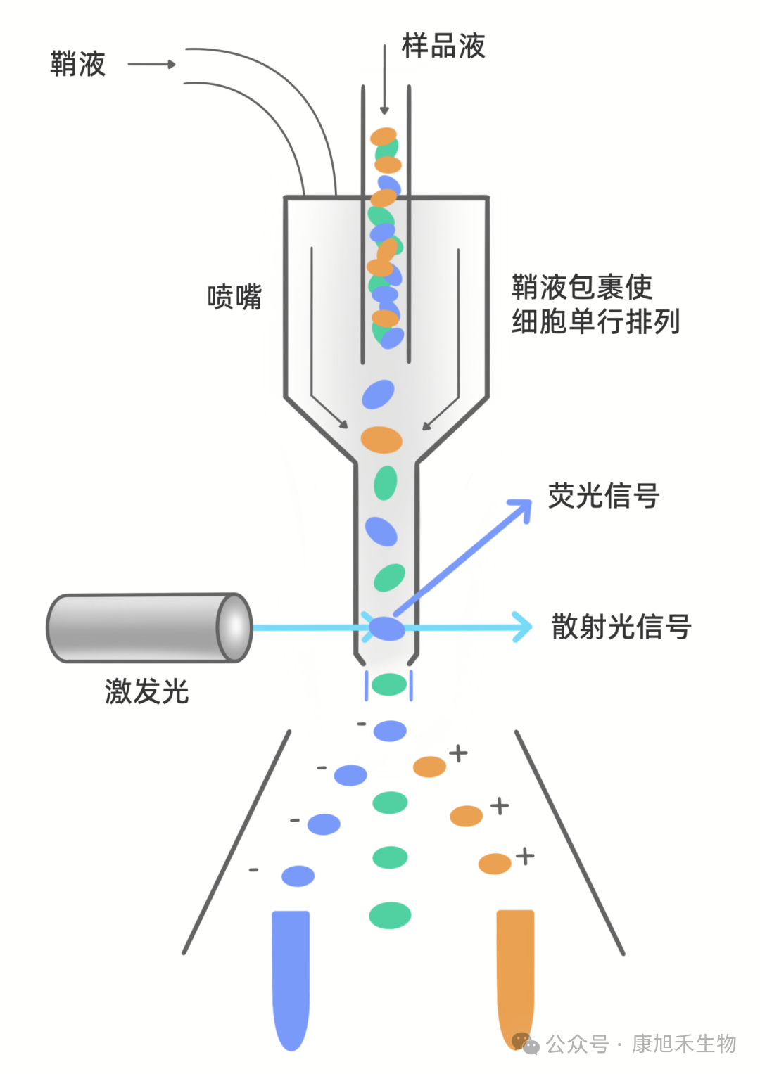 微信圖片_2025-09-25_170648_229