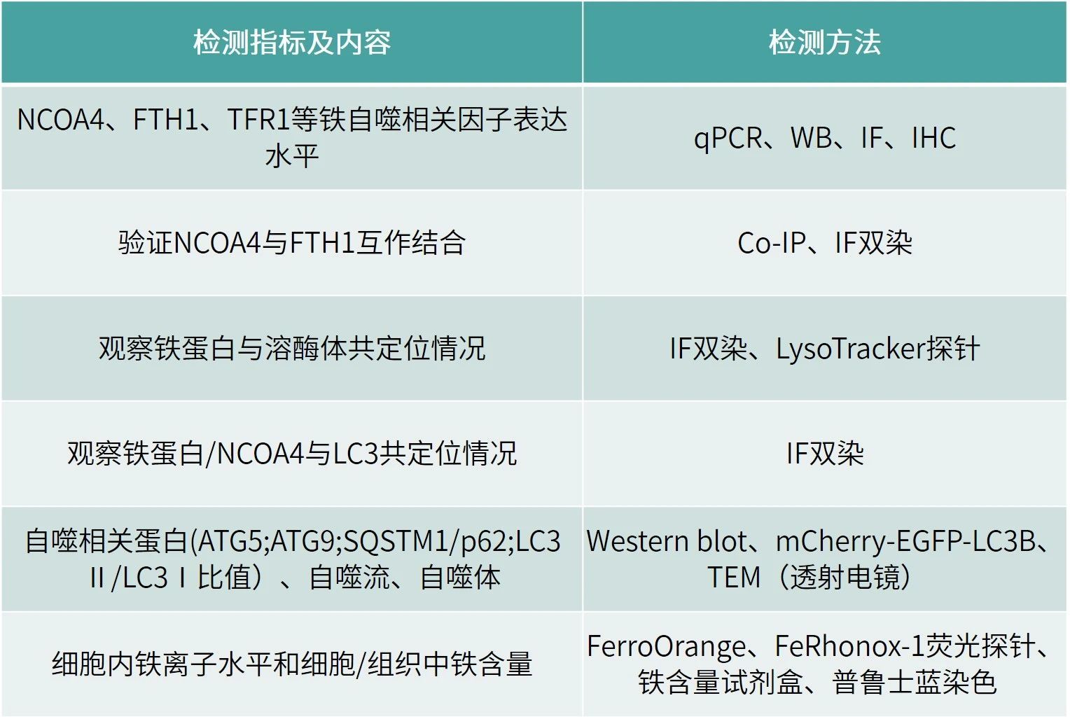 微信圖片_2025-09-25_172332_149