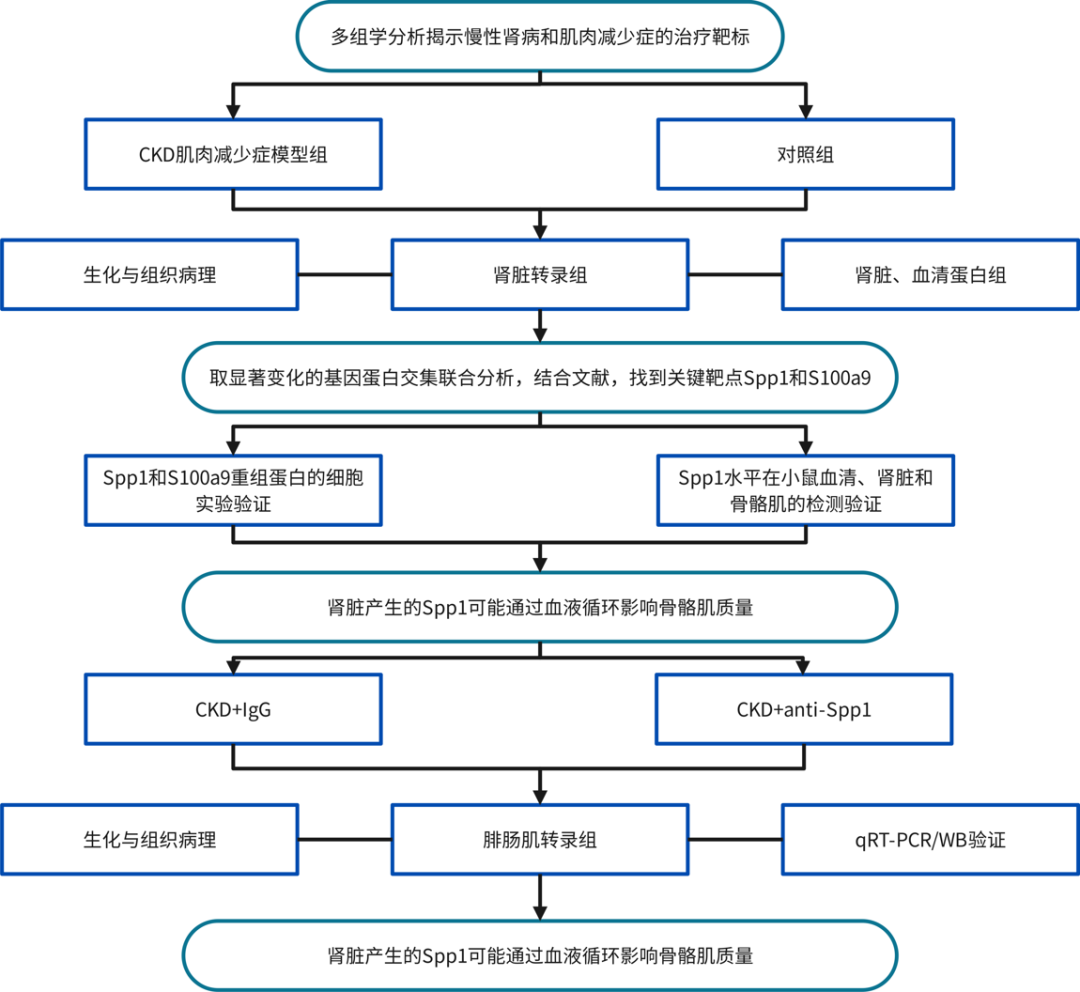 微信圖片_2025-09-29_142254_845